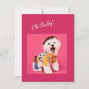 Cute and funny dressed maltese     card