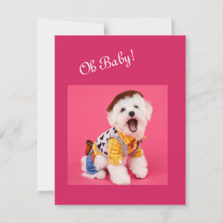 Cute and funny dressed maltese card