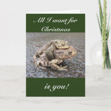 Cute and funny frog/toad Christmas greeting card!