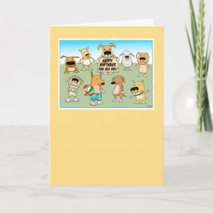 Cute and Funny Old Dog Birthday Card