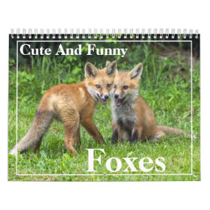 Cute And Funny Red Foxes Calendar