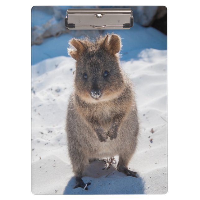 Cute and happy Quokka on the Beach Australia Clipboard (Front)