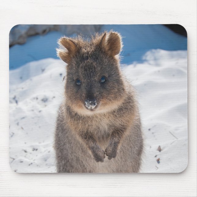 Cute and happy Quokka on the beach in Australia Mouse Pad (Front)