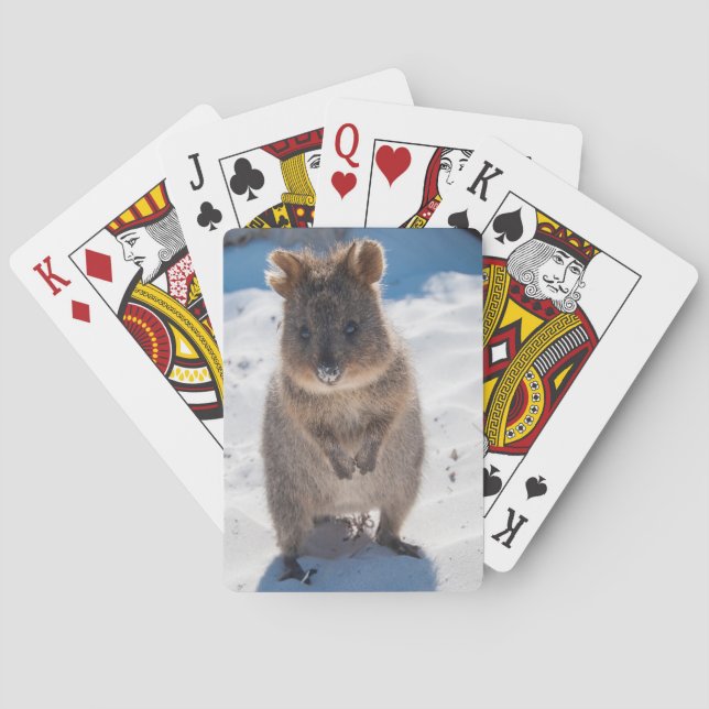 Cute and happy quokka on the beach in Australia Playing Cards (Back)