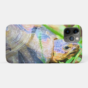 Cute Angulate Tortoise South Africa Details iPhone 11 Pro Case