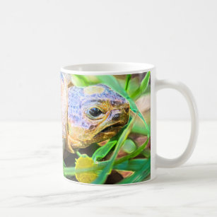 Cute Angulate Tortoise South Africa Details Coffee Mug