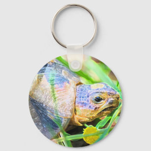 Cute Angulate Tortoise South Africa Details Keychain