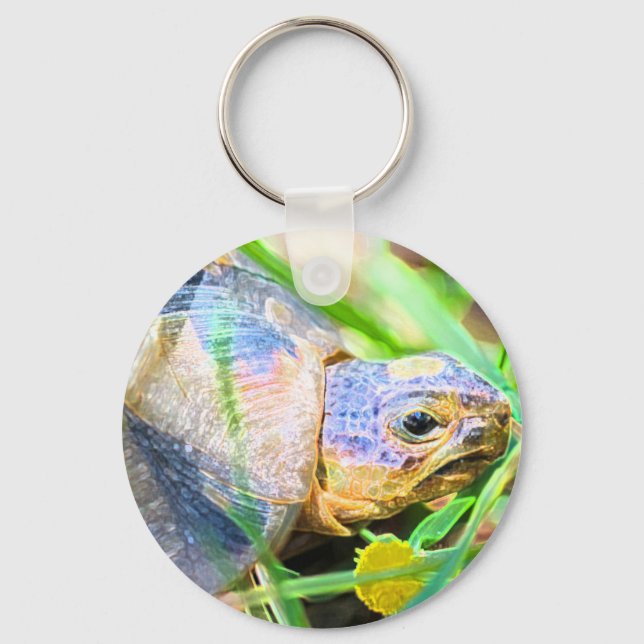 Cute Angulate Tortoise South Africa Details Keychain (Front)