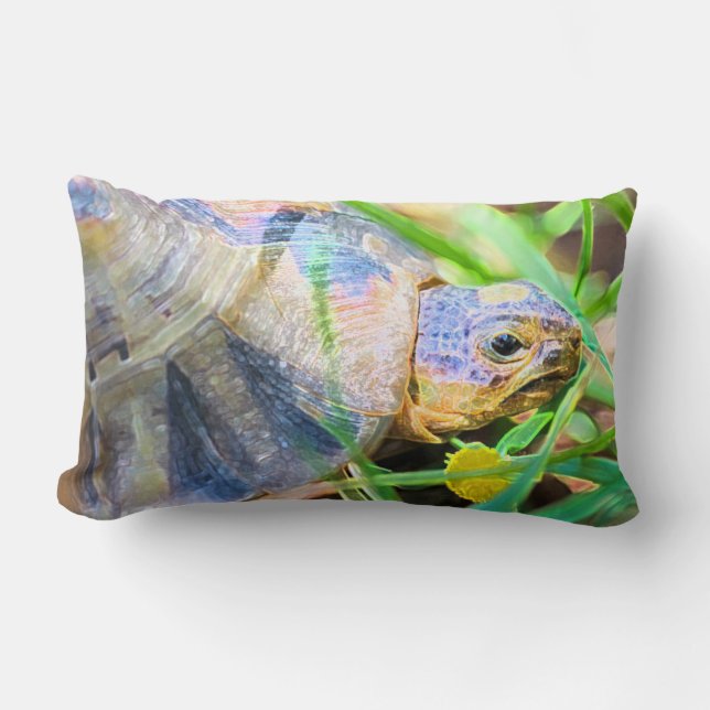 Cute Angulate Tortoise South Africa Details Lumbar Pillow (Front)