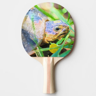 Cute Angulate Tortoise South Africa Details Ping Pong Paddle