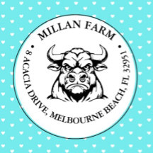 Cute Angus Bull theme