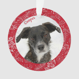 Cute animal Chien de vacances Chien de vacances Ch
