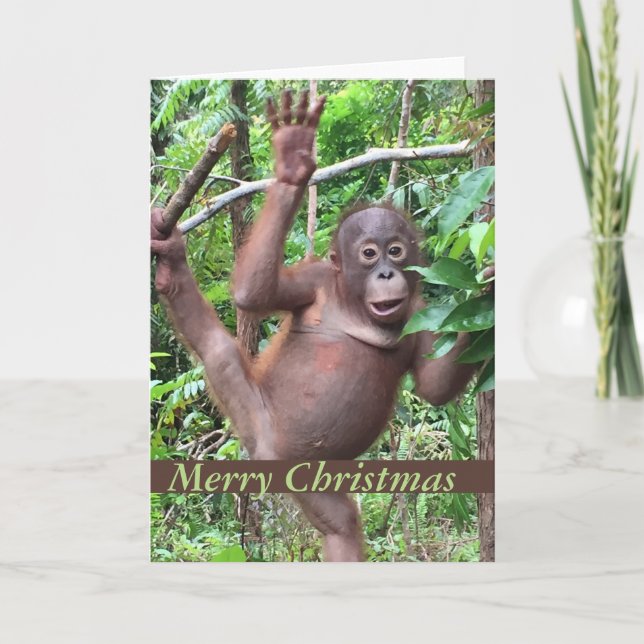 Cute Animal Merry Christmas Orangutan Baby Holiday Card (Front)