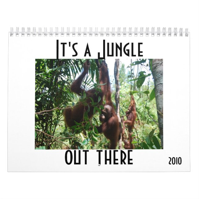 Cute Animal Photography Calendar (Cover)