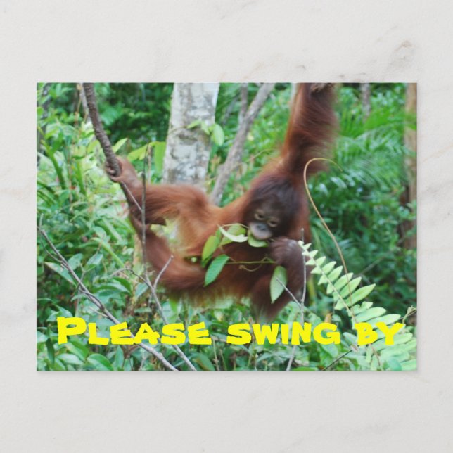 Cute Animal Swingers Party Invitation Postcard (Front)