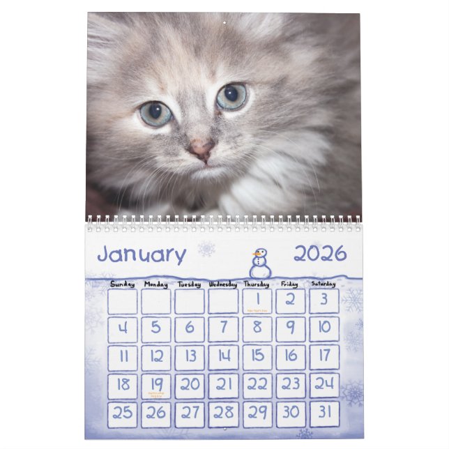 cute animals 2012 calender calendar (Jan 2026)