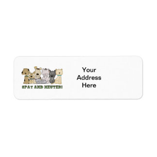 Cute Animaux Spay et Neuter Texte