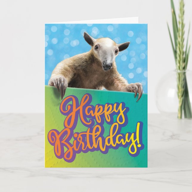 Cute Ant Eater Funny Belated Birthday Card (Front)