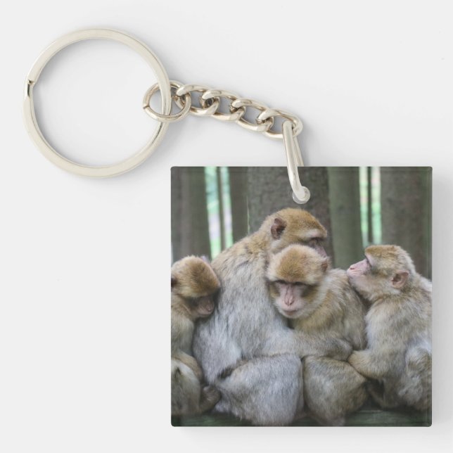 Cute Ape Family Group Hug Photograph Keychain (Front)