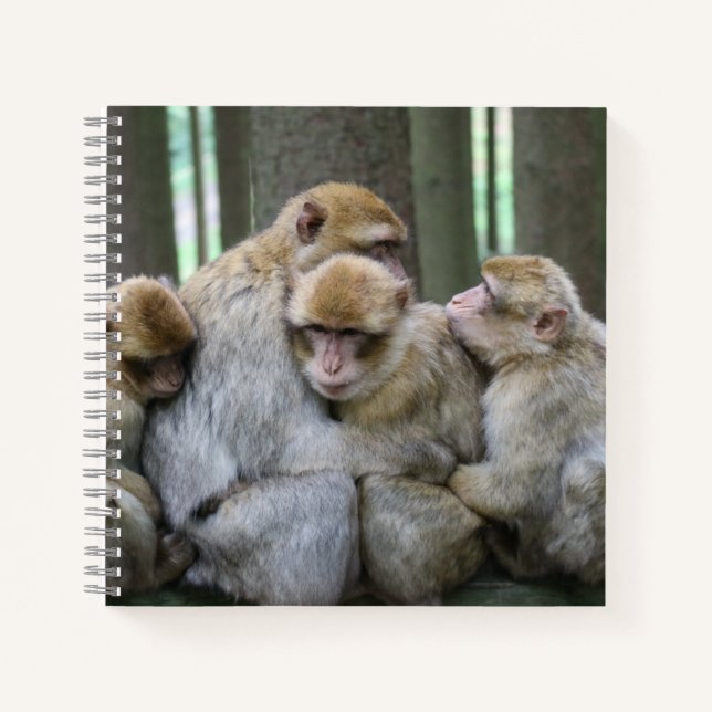 Cute Ape Family Group Hug Photograph Notebook (Front)