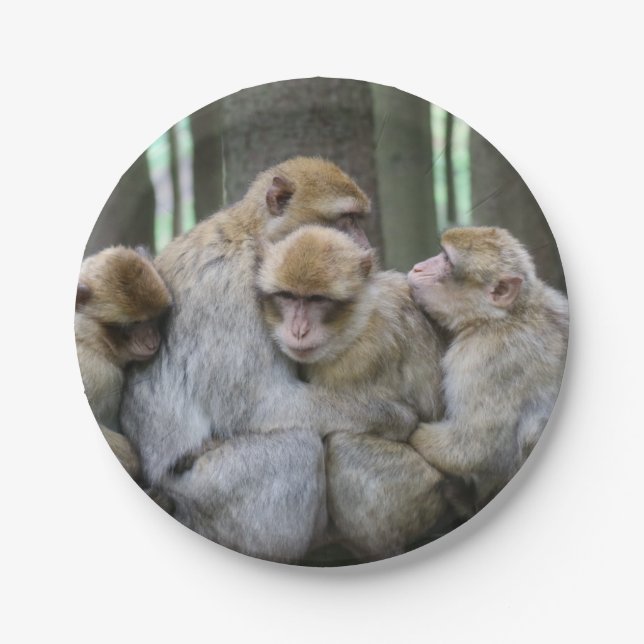 Cute Ape Family Group Hug Photograph Paper Plate (Front)