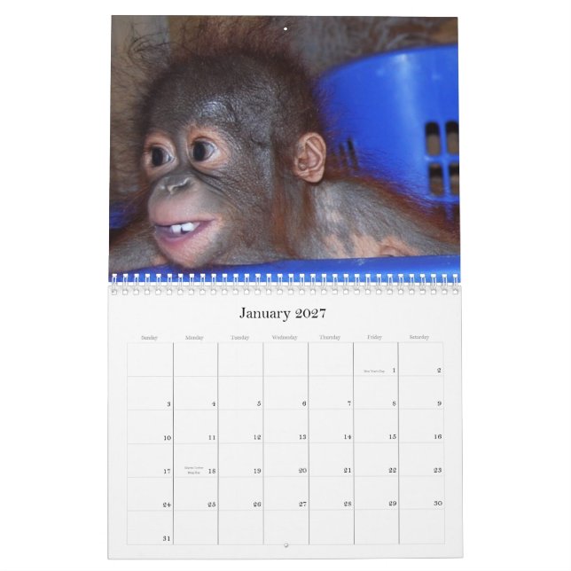 Cute Apes Wildlife Babies Calendar (Jan 2027)