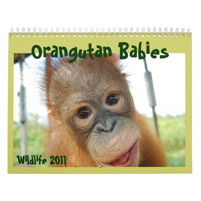 Cute Apes Wildlife Calendar (Cover)