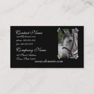 Cute Appaloosa Horse Business Card