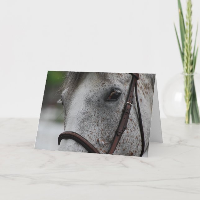 Cute Appaloosa Horse Greeting Card (Front)
