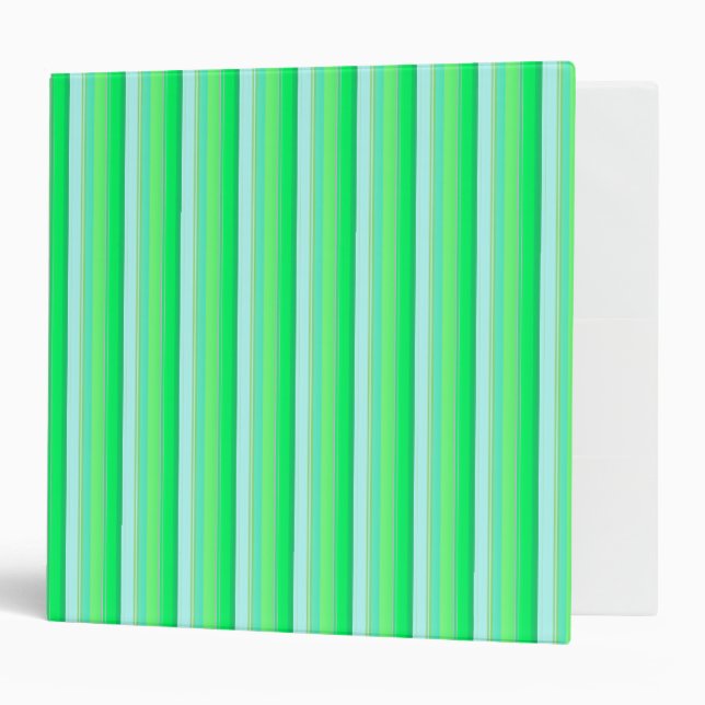 Cute aqua green stripes binder (Front/Inside)