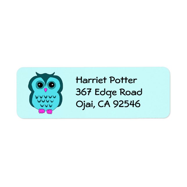 Cute Aqua Owl Pieds roses (Devant)