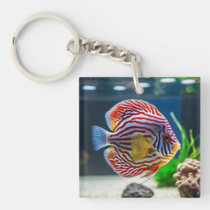 Cute Aquarium Fish Tank Keychain