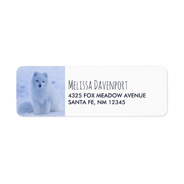 Cute Arctic Fox on Snowy Winter Background (Front)