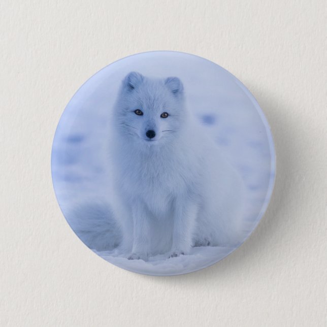 Cute Arctic Fox on Snowy Winter Background 2 Inch Round Button (Front)