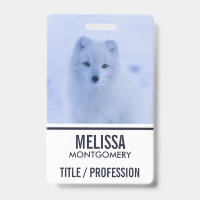 Cute Arctic Fox on Snowy Winter Background