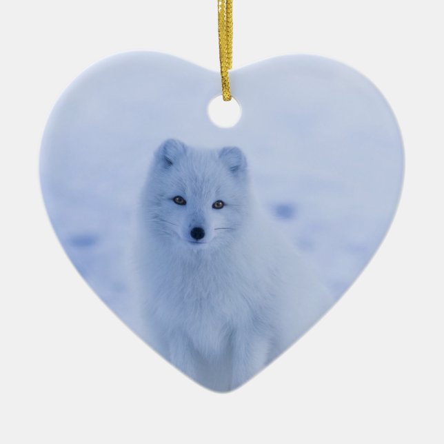 Cute Arctic Fox on Snowy Winter Background Ceramic Ornament (Front)
