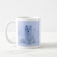 Cute Arctic Fox on Snowy Winter Background