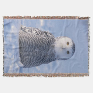 Cute Arctic Snowy Owl Photo Designed Woven Throw Blanket