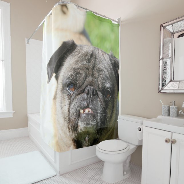 Cute as a Pug (In Situ)