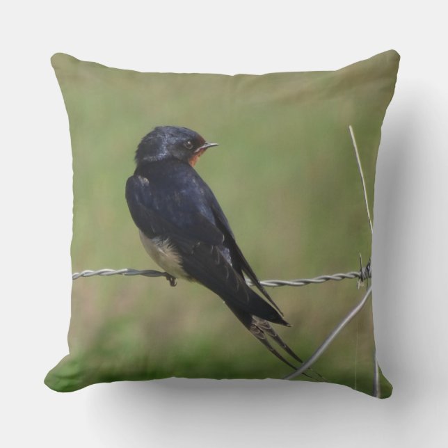 Cute Asseyez-vous à la tonneau Swallow oreiller (Recto)