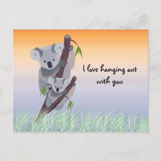 Cute Australian Koala Bear Postcard