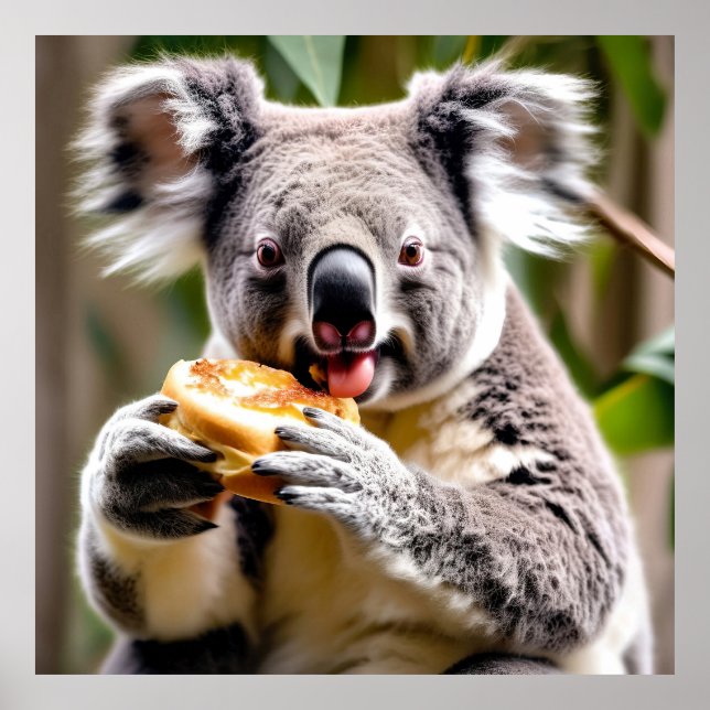 Cute Australian Koala Eating a Meat Pie Poster (Front)