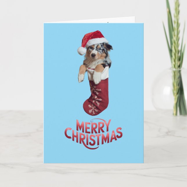 Cute Australian Shepherd Christmas  Card (Front)