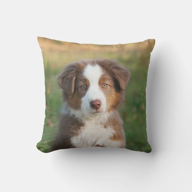 Cute Australian Shepherd Dog Puppy - for Outside Outdoor Pillow (Front)