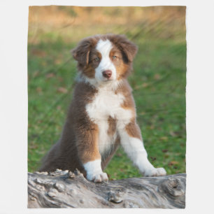 Cute Australian Shepherd Puppy, comfortable Fleece Blanket