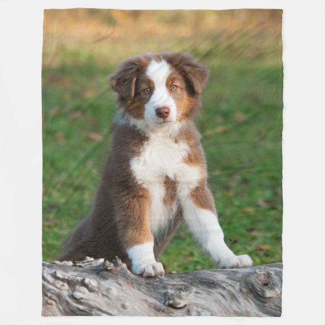 Cute Australian Shepherd Puppy, comfortable Fleece Blanket (Front)