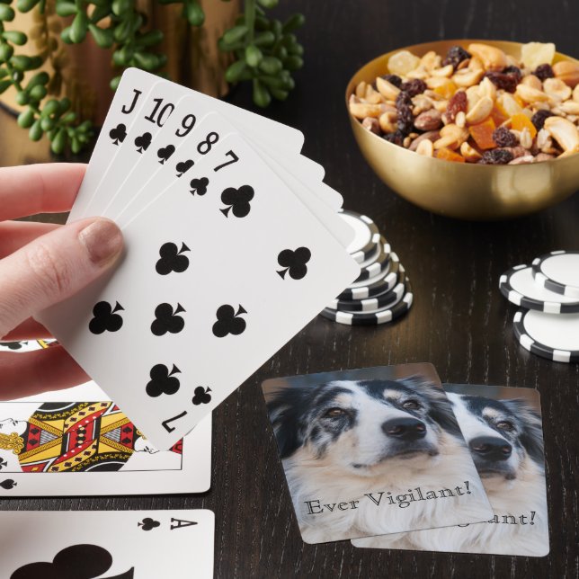 Cute Australian Shepherd Template Photo Playing Cards (In Situ)