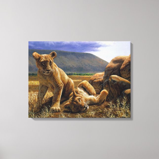 Cute Baby African Lion Cubs Canvas Print (Front)