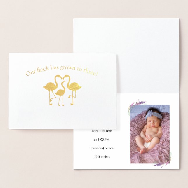 Cute Baby Announcement Flamingo Flock (Display)