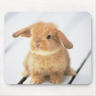 Cute Baby Bunny Happy Easter Design Mouse Pad